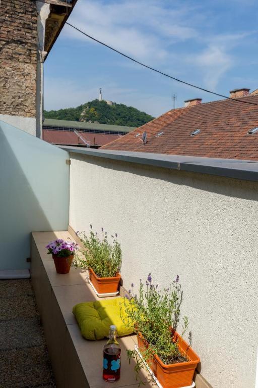 Erkel Rooftop Suites Budapesta Exterior foto